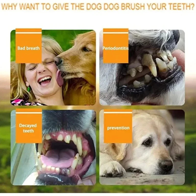 Pet Finger Toothbrush Kit