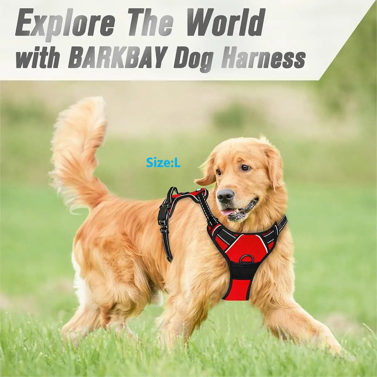 No Pull Dog Harness with Handle