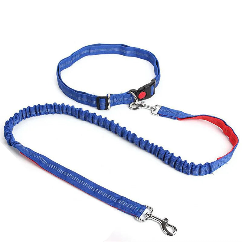 Hands-Free Dog Leash - Waist Belt