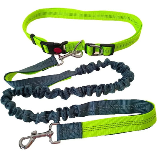 Hands-Free Dog Leash - Waist Belt