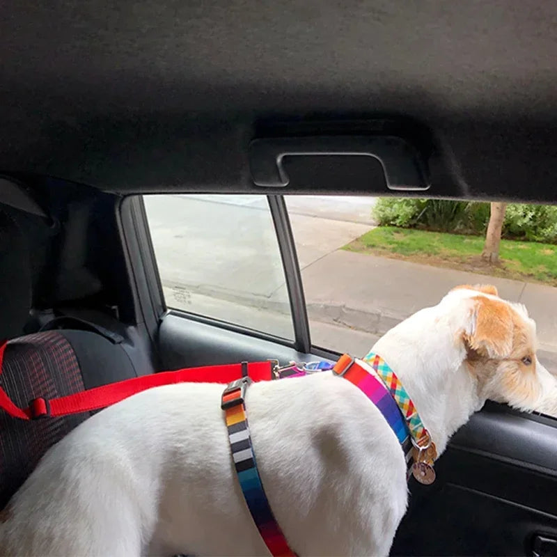 2-in-1 Pet Car Seat Belt & Leash