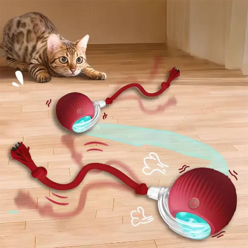 Smart Ball Toy for Pets