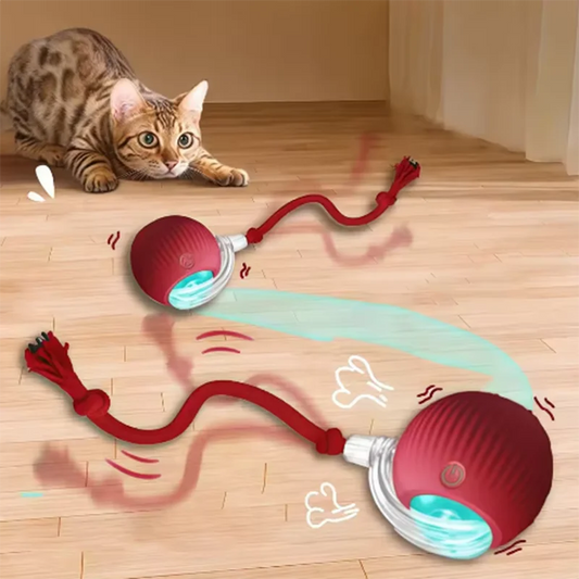Smart Ball Toy for Pets