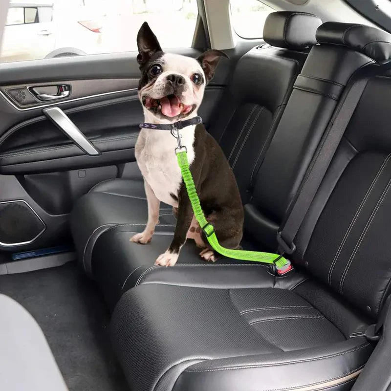 Pet Car Safety Belt