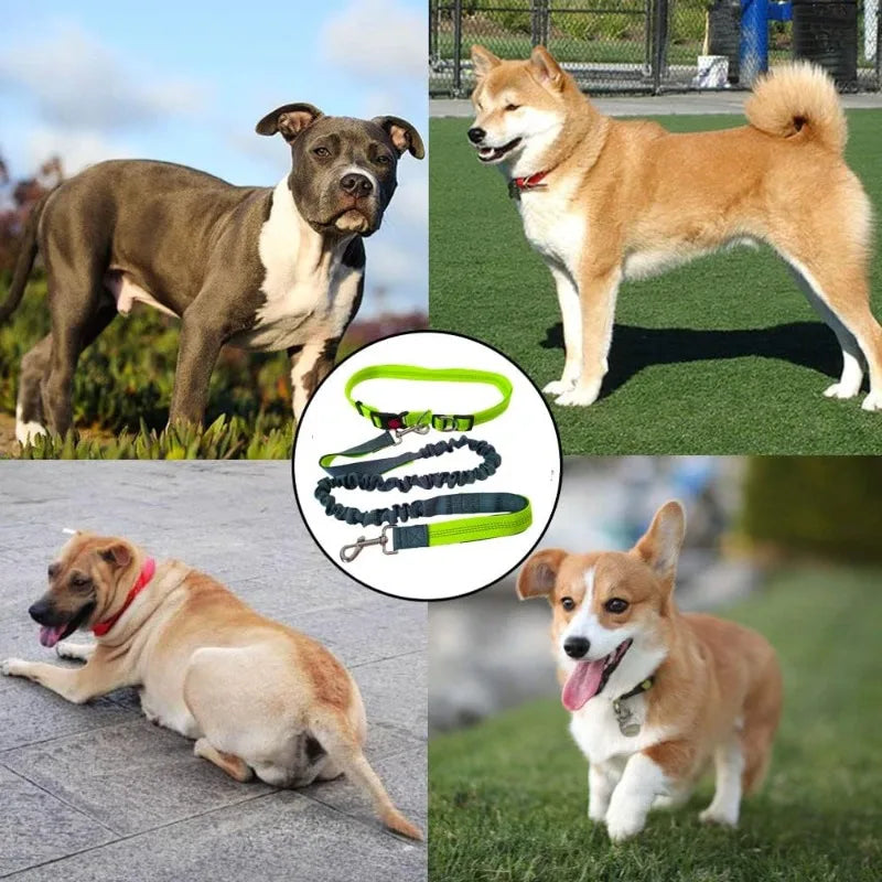 Hands-Free Dog Leash - Waist Belt