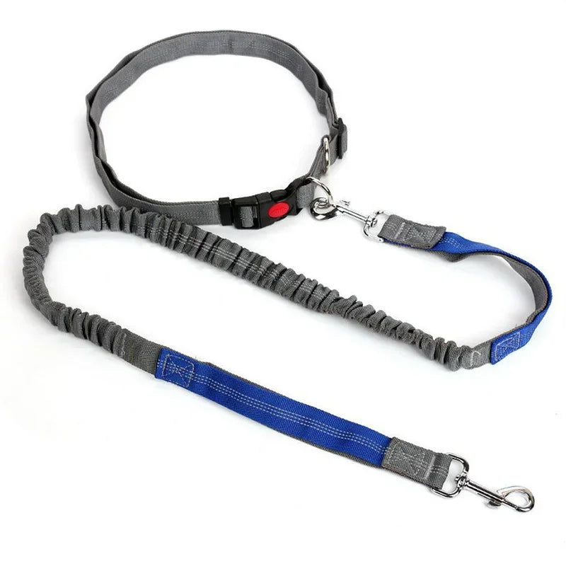 Hands-Free Dog Leash - Waist Belt