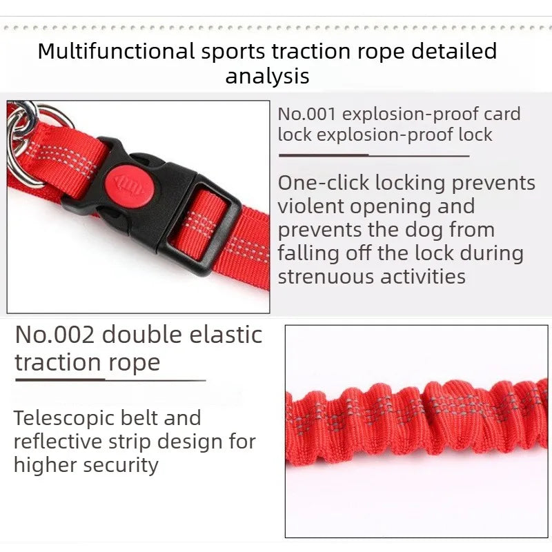 Hands-Free Dog Leash - Waist Belt