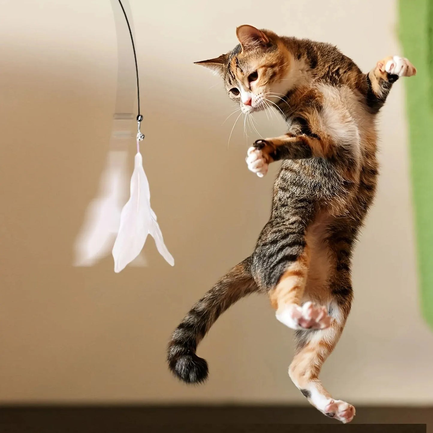 Feather Wand Toy for Cats