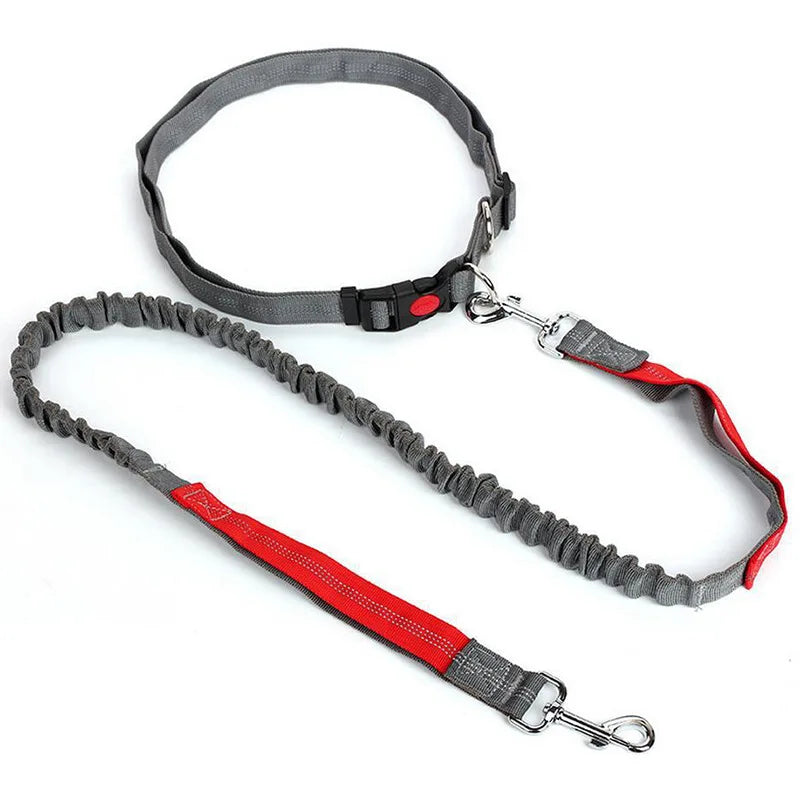 Hands-Free Dog Leash - Waist Belt