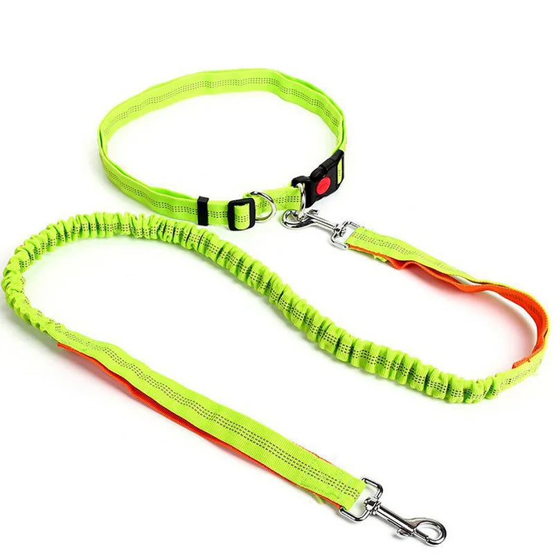 Hands-Free Dog Leash - Waist Belt