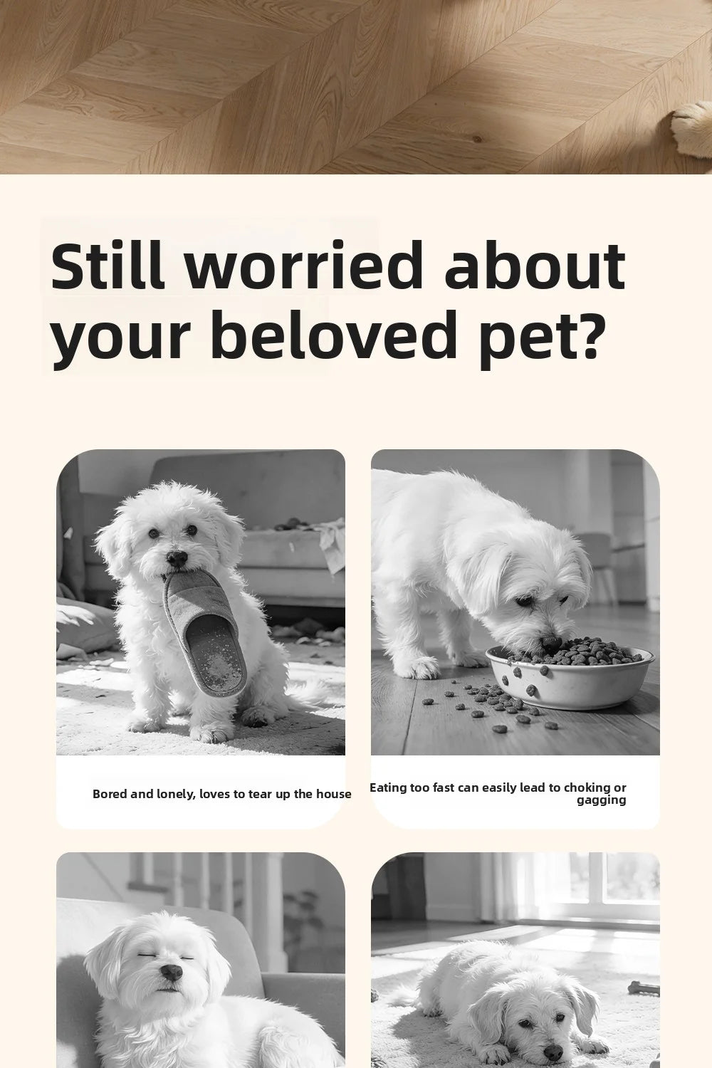Interactive Puzzle Feeder