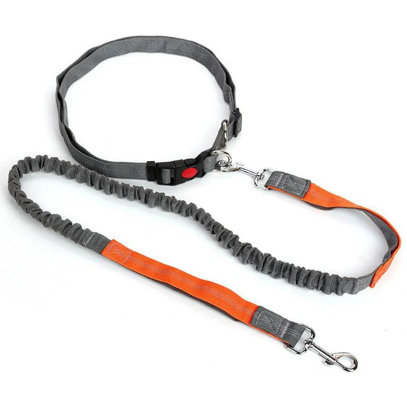 Hands-Free Dog Leash - Waist Belt
