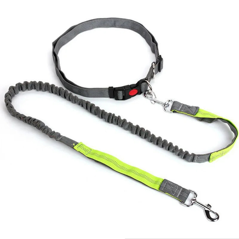 Hands-Free Dog Leash - Waist Belt