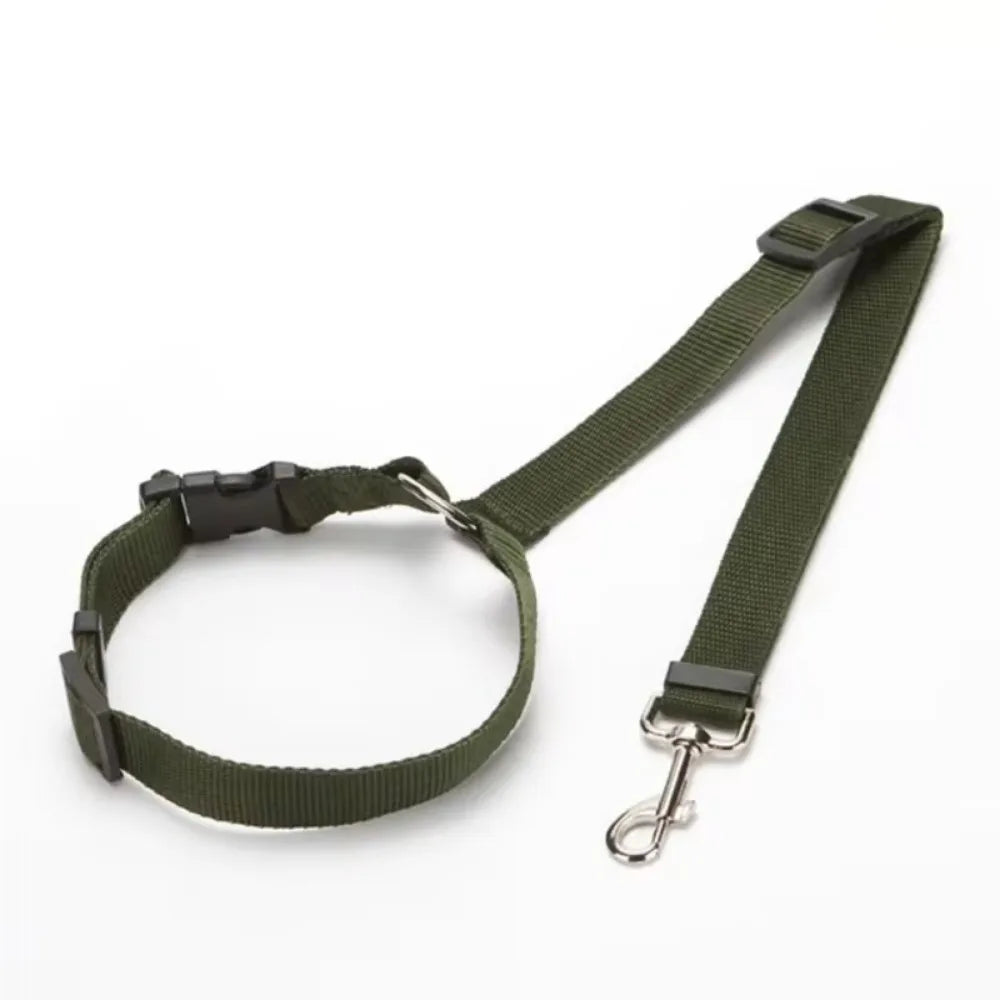 2-in-1 Pet Car Seat Belt & Leash